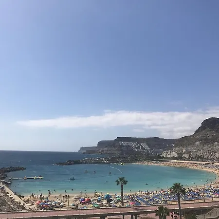Perla De Amadores