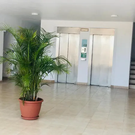 Perla De * Amadores